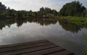 ryby_vlcek
