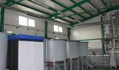 lihen-ryb