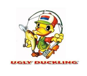 Ugly Duckling_2