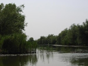 dunaj_delta