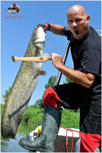 lov_sumcu_na_vabnicku