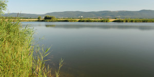 jezero_za_pilou_rybareni