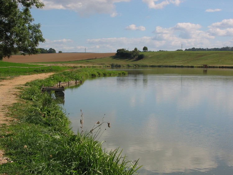 Rybník Dubenec InRybar.cz