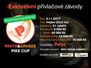 PIKE-CUP-banner-maly-vcetne-med.partneru