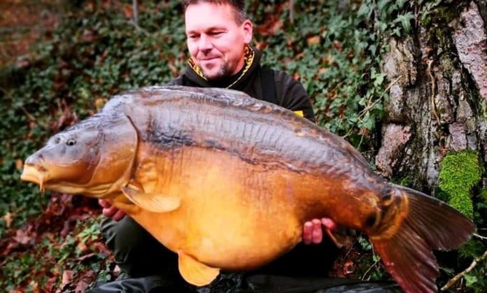Úlovek velkého kapra lysce od rybáře Petera Hofierky