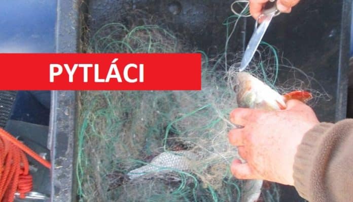 Pytláci loví ryby na českém revíru do sítě