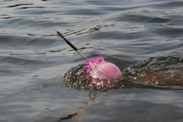 Zakrmovací pomůcka LK Baits Crash Ball ve vodě