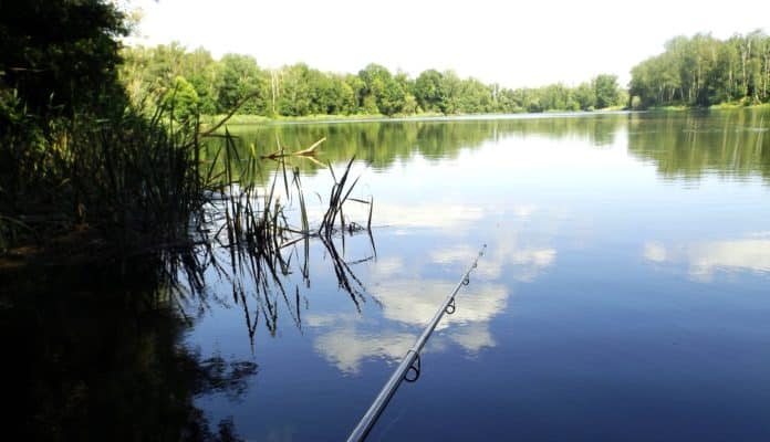 Rybaření na plavanou na stojaté vodě u potopeného rákosu