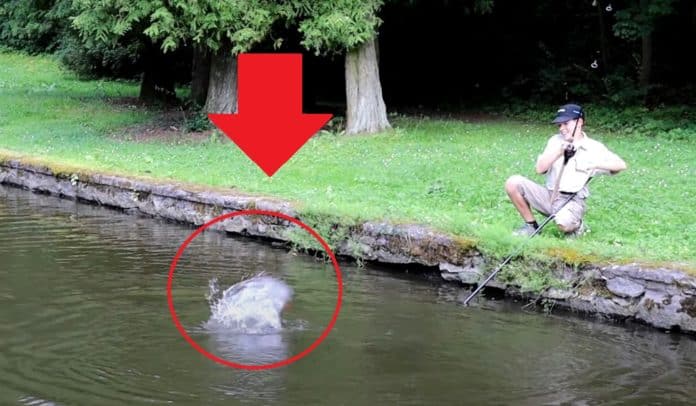 Mladý rybář zdolává divokou rybu na zapomenutém rybníku