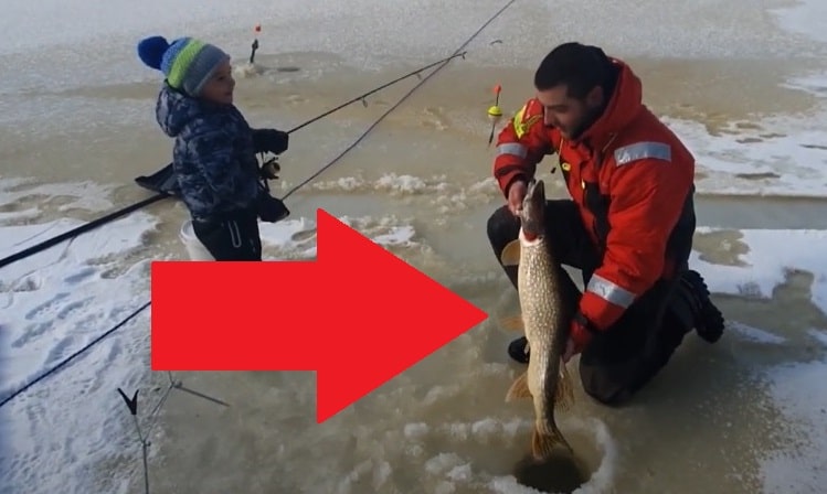 VIDEO: Má teprve 3 roky a už chytá metrové štiky! Tahle ryba byla skoro  větší jak malý rybář! | InRybar.cz