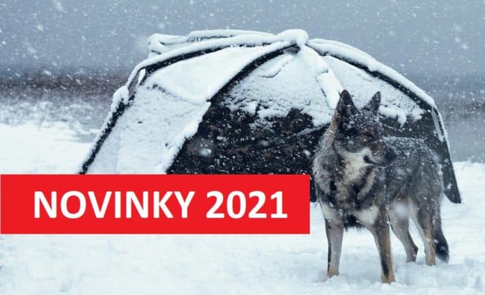 Vlk stojí u zasněženého rybářského bivaku v zamrzlé krajině