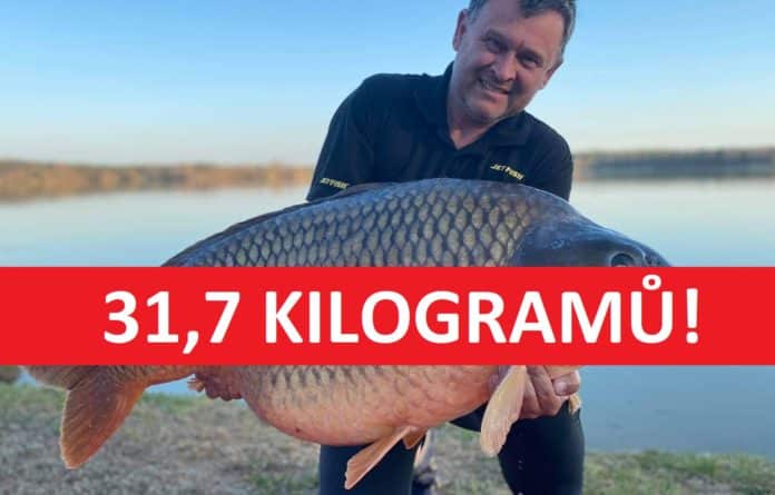 Trofejní kapr šupináč o váze 31,7 kilogramů z jezera Štít