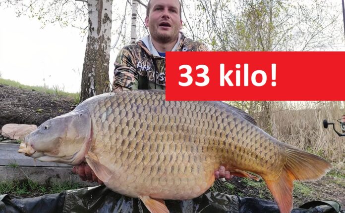 Trofejní kapr o váze 33 kilogramů ulovený na jezeře Dělouš