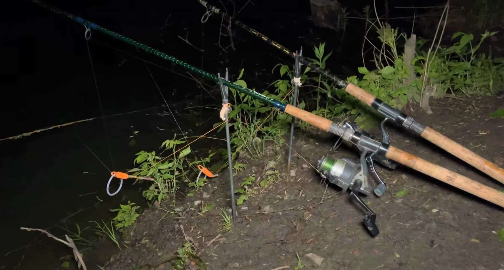 Jak chytat ryby v noci?