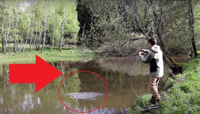 Rybář zdolává kapra na rybníku v lese