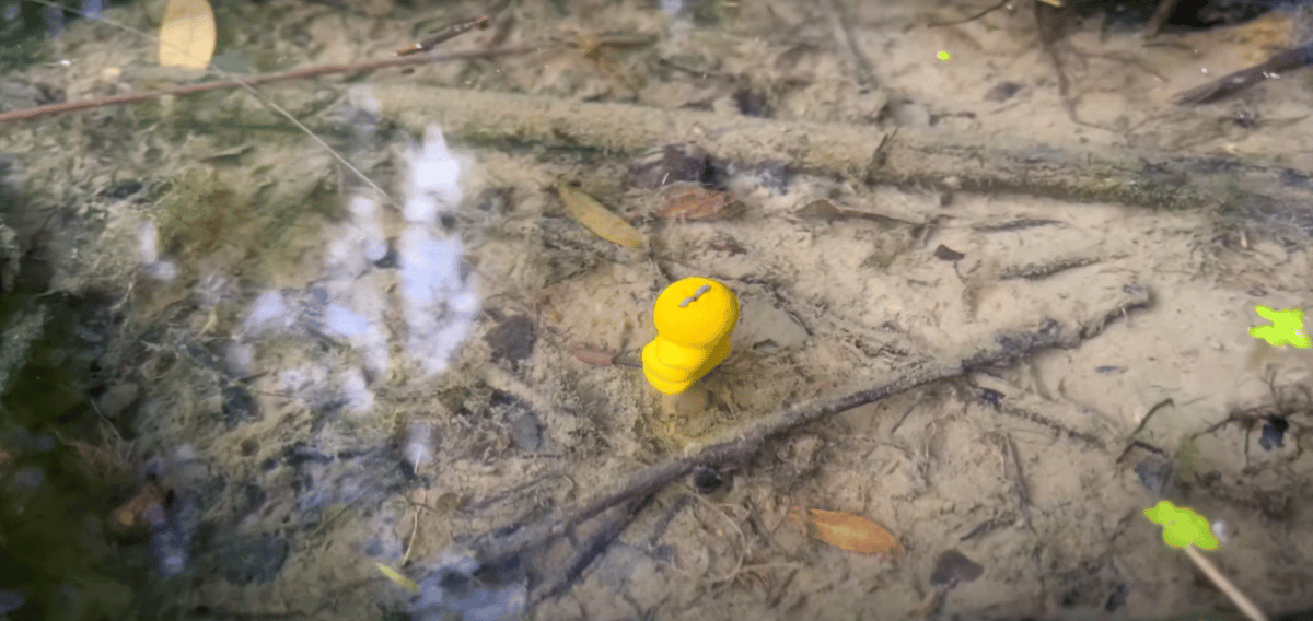 Nastražená kukuřice na kapry s plovoucím boilies ve vodě