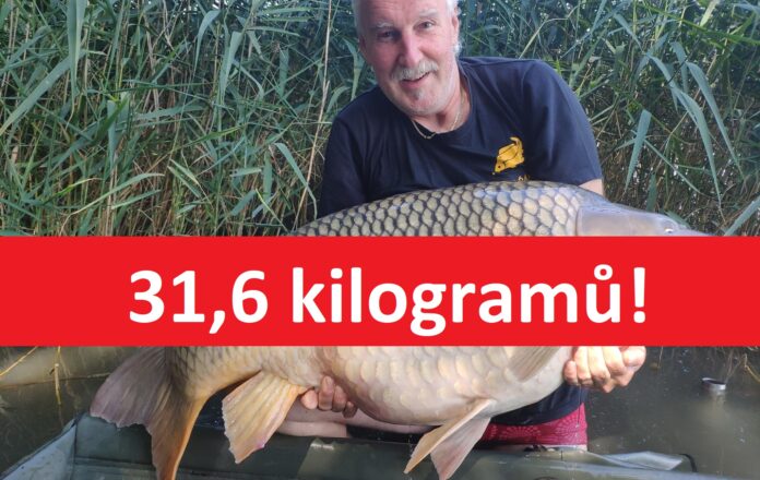 Ulovený kapr o váze 31 kilogramů na revíru Štít