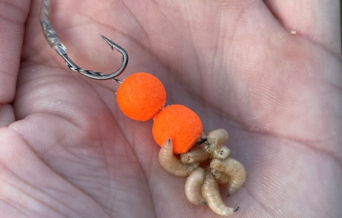 Nastražené dvě oranžové plovoucí boilies s červy pod háčkem