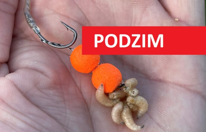 Nastražené dvě kuličky plovoucího boilies s červy