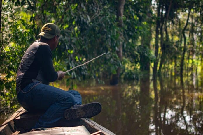 Rybář loví ryby v džungli
