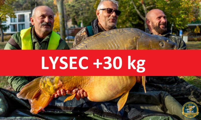 Trofejní lysec o váze 30 kilo z Balatonu v Maďarsku