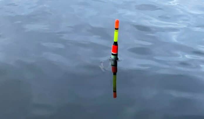 Splávek na ryby nahozený ve vodě