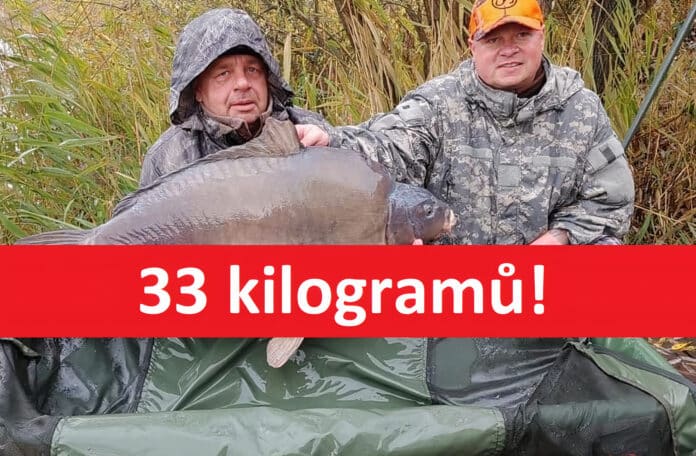 Velký kapr o váze 33 kilogramů z jezera Dělouš