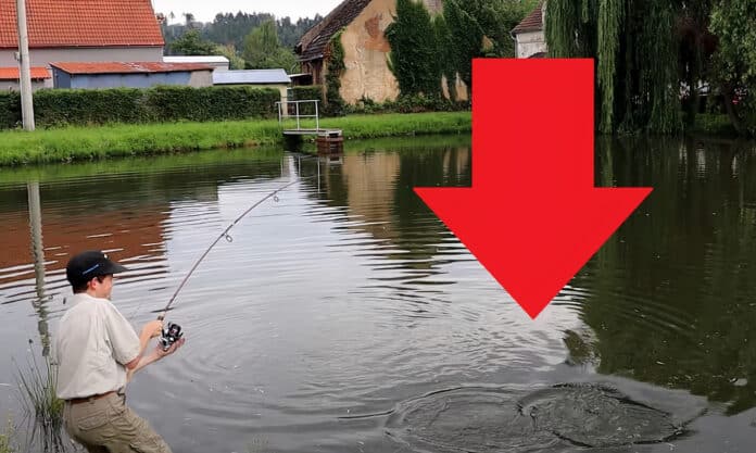 Rybář zdolává amura na rybníku