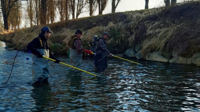Rybáři loví ryby na řece s pomocí elektrického agregátu