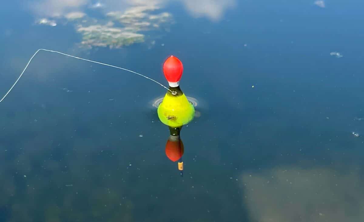 Splávek s výraznou anténkou na hladině rybníka
