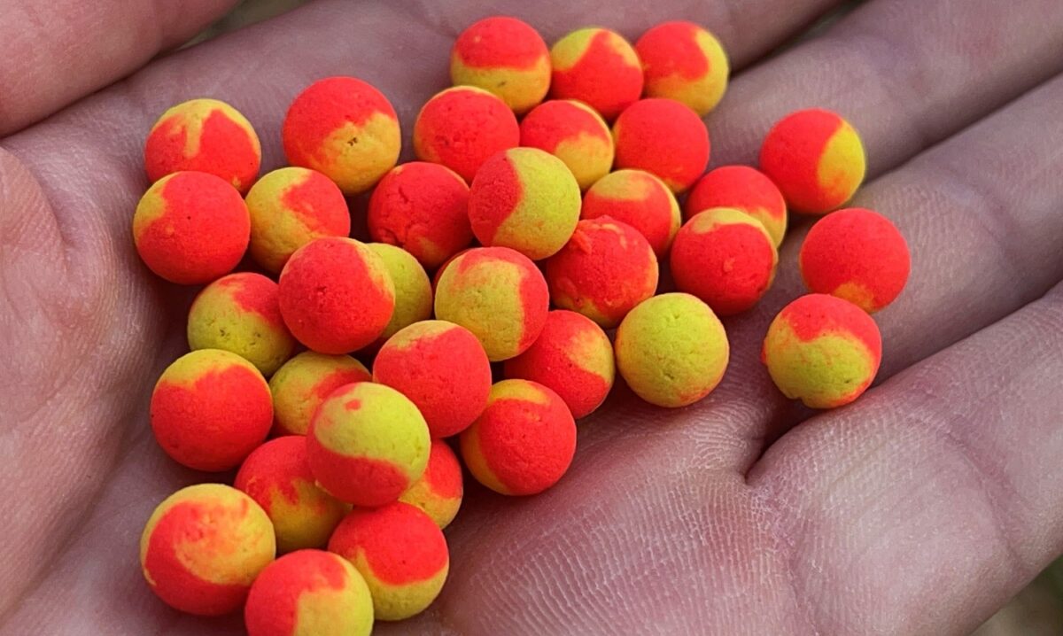 Mini nástraha na jarní kapry