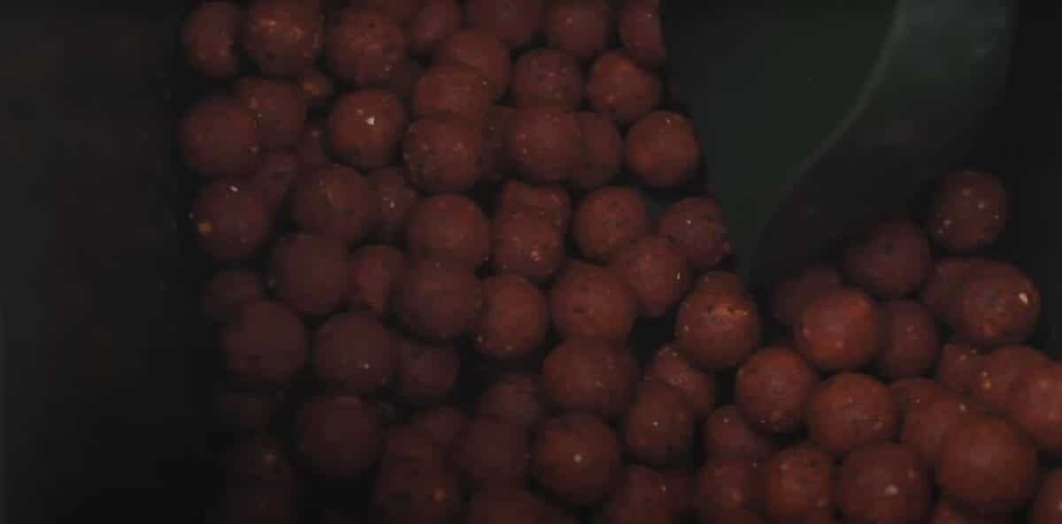 Boilies spice shrimp