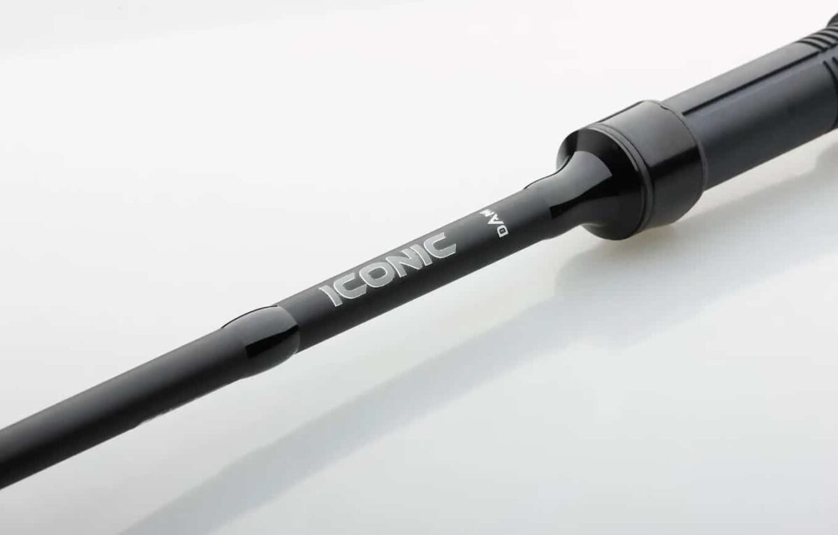 Prut dam iconic carp