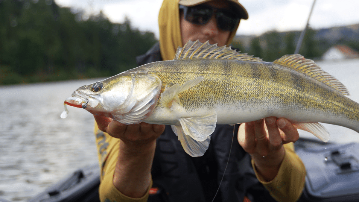Fishsurfing video