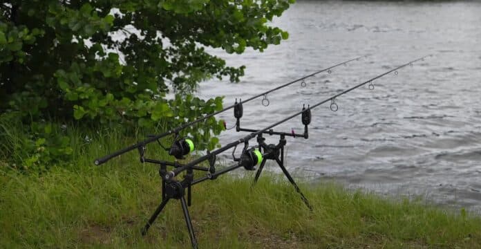 Shimano
