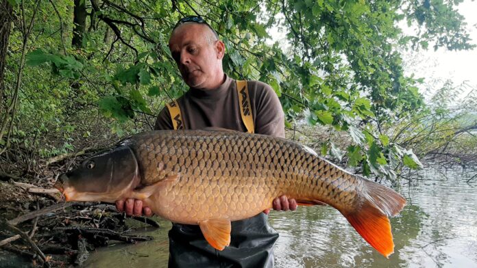 TB Baits