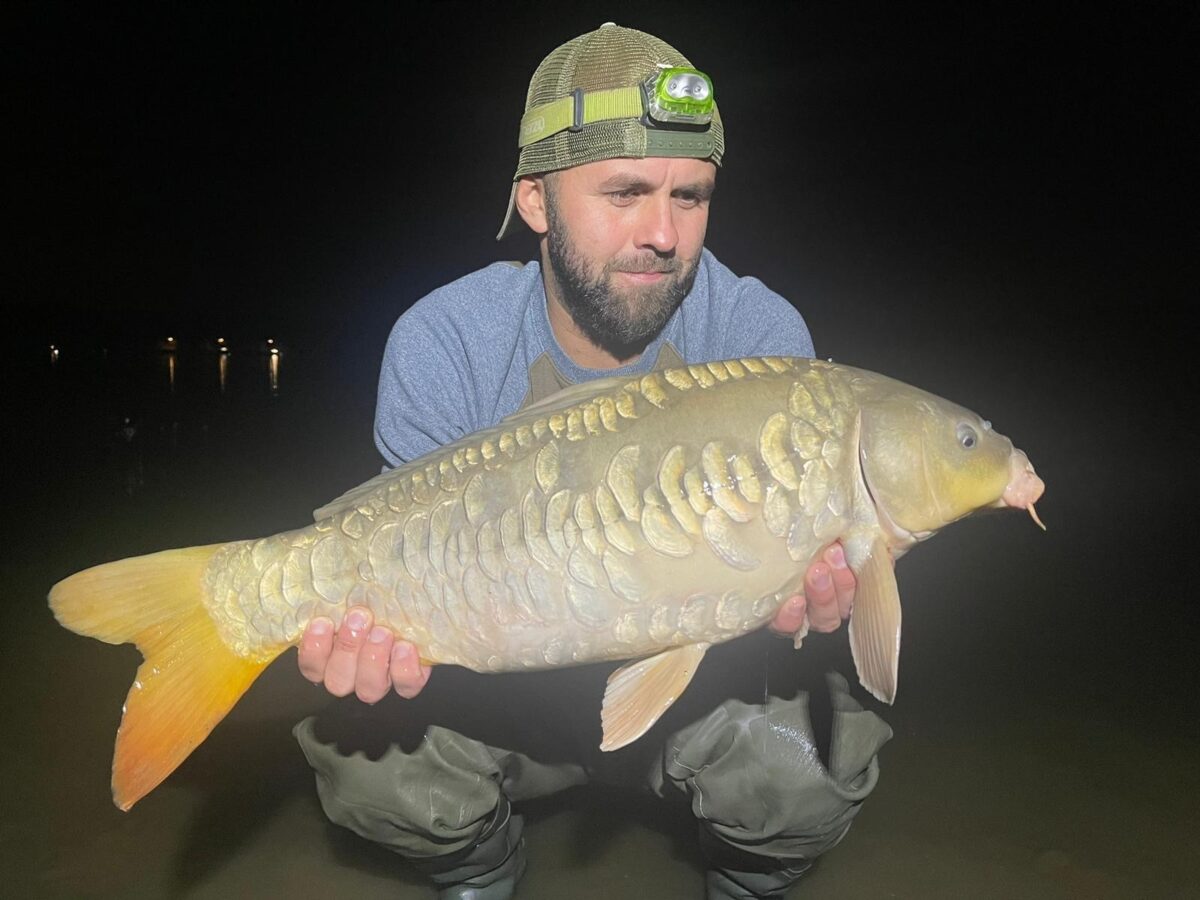 TB Baits