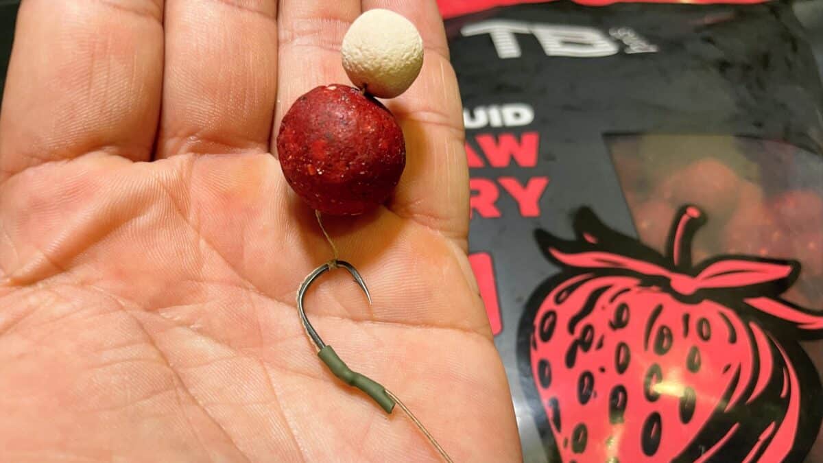 TB Baits