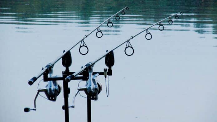 Prut DAM Iconic Carp