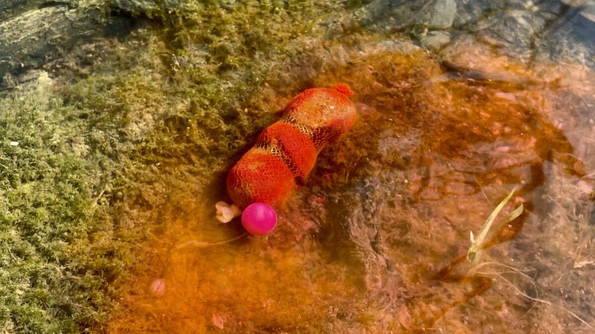 Návnady Grand Krill