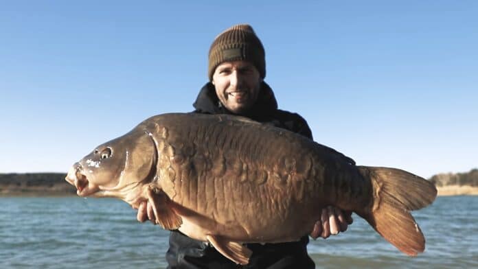 TB Baits Grand Krill