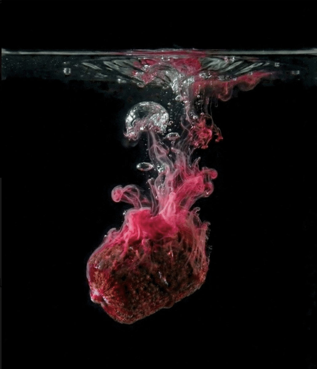 TB Baits Grand Krill