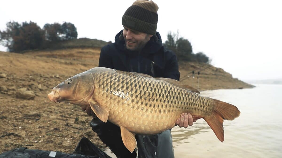 TB Baits Grand Krill