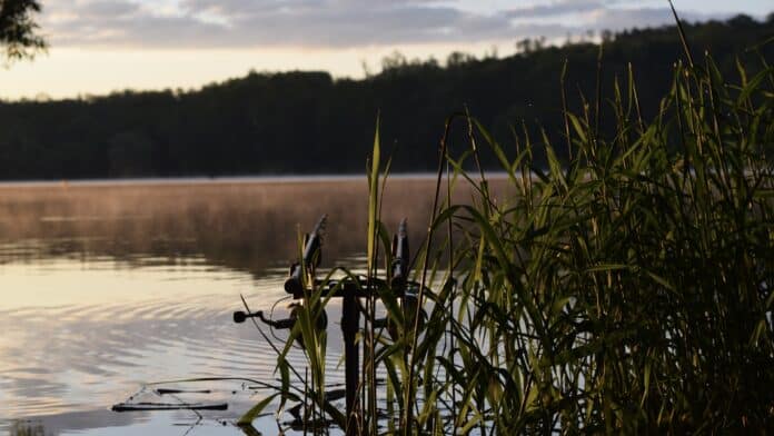 TB Baits boilies