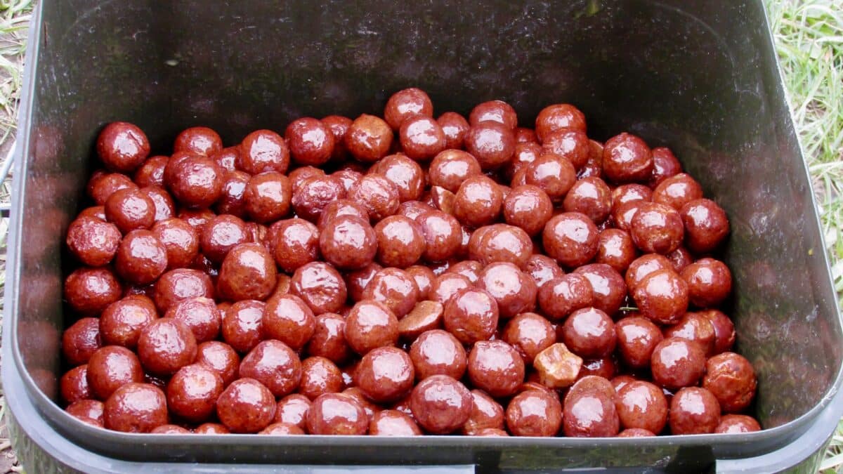 Boilies je při cíleném lovu velkých ryb volba číslo 1