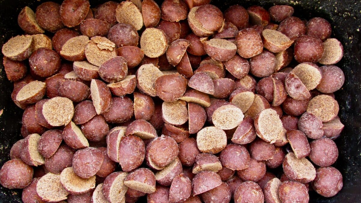 Půlením boilies získáte více návnady, která navíc bude výborně ležet na nakloněné rovině