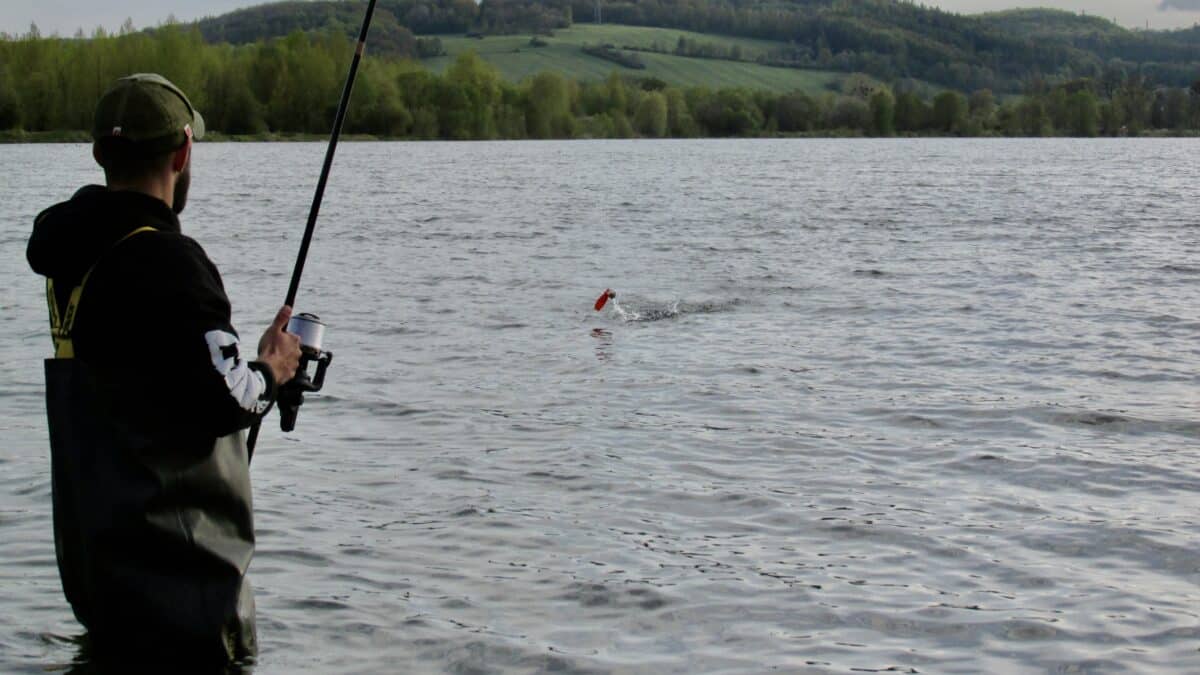 Fisherman in a cap and jacket standing in shallow water, casting a line on a lake with distant hills in view.