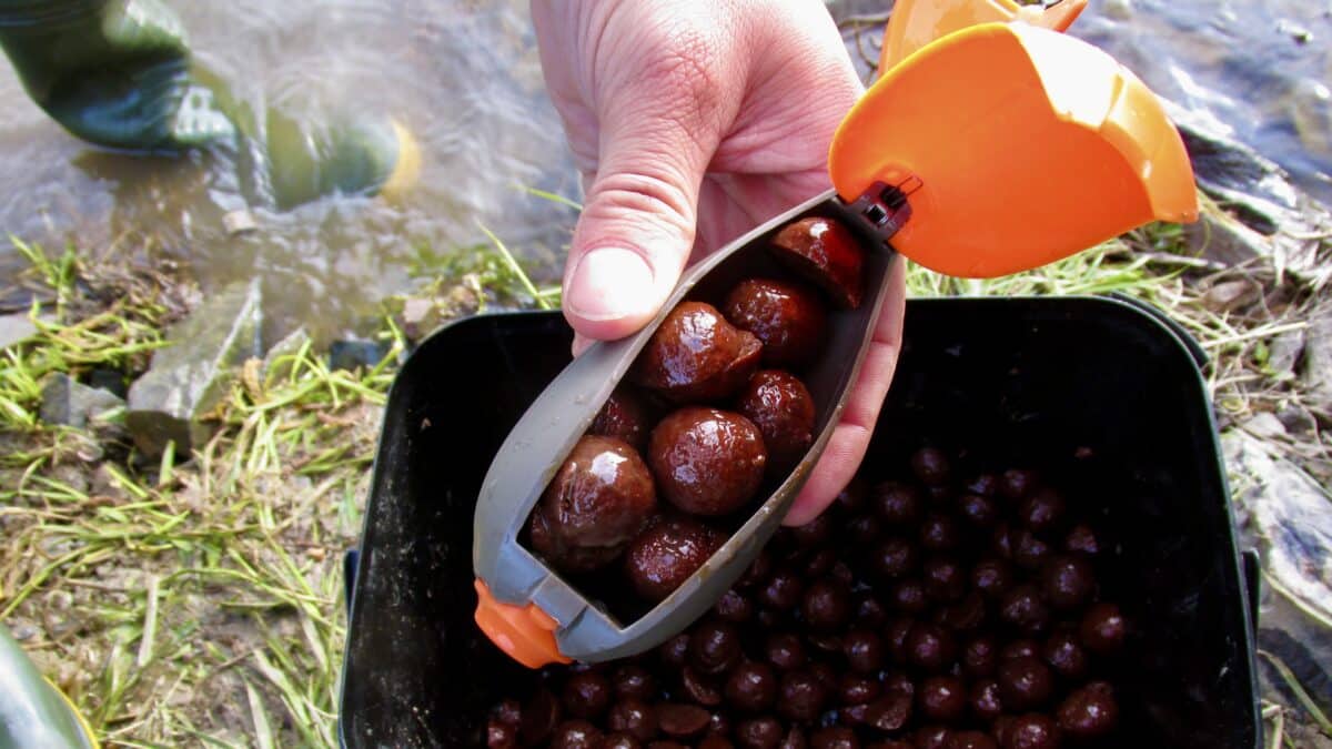 Hand holding a gray scoop filled with glossy brown berries over a black tub outdoors.