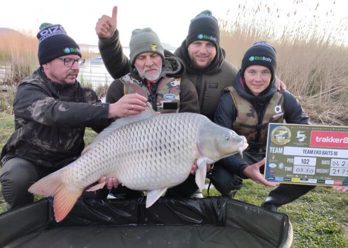 Four men in camouflage jackets hold a gigantic silver carp by a lake, with a fishing scoreboard in view.