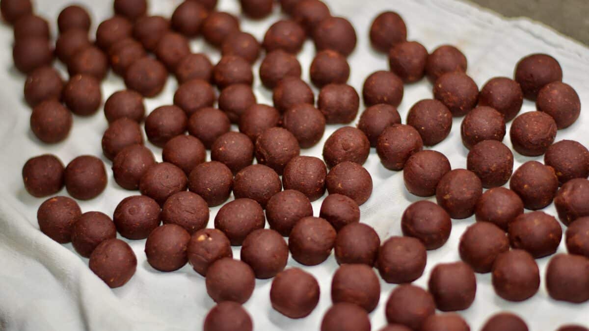 Domácí výroba boilies
